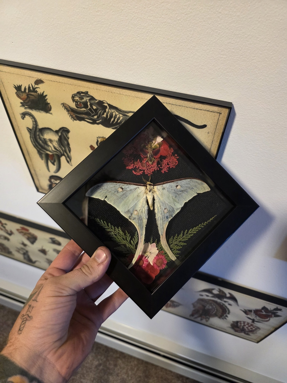 Oddities